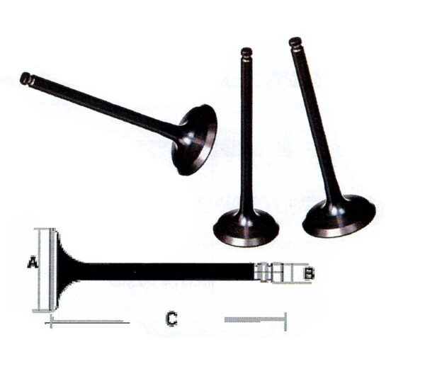 Motorcycle Engine EXHAUST Valve Yamaha